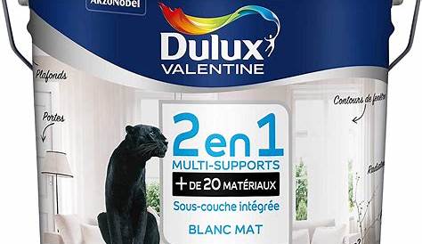 Dulux Valentine Blanc Mat 10l Peinture Murs Et Plafonds DULUX VALENTINE Monocouche