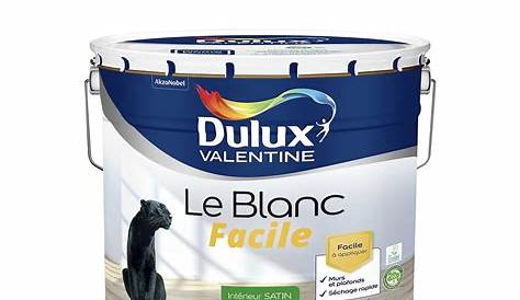 Dulux Valentine Blanc Satin 10l Peinture Laque Glycéro DULUX VALENTINE 10L