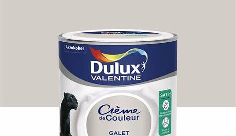 Dulux Valentine Valentine crème de couleur 0.5L gris building