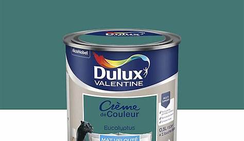 Dulux Valentine Eucalyptus Mat Peinture DULUX VALENTINE Crème De Couleur 2