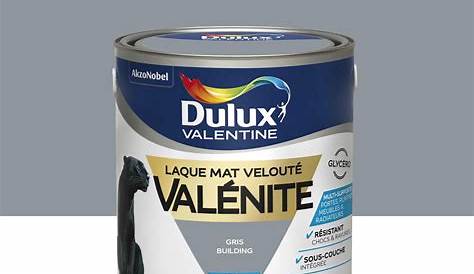 Dulux Valentine Gris Building Peinture Acrylique Crème De Couleur