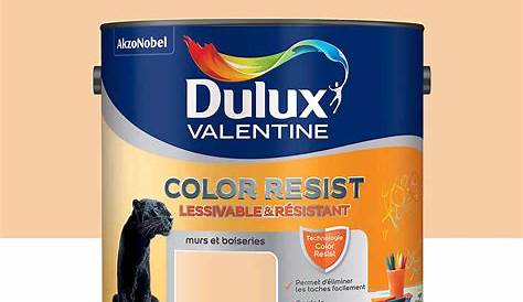 Dulux Valentine Mat Infini Argile Peinture Acrylique Color Resist Blanc