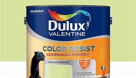 Dulux Valentine Mat Lessivable Peinture Color Resist Et