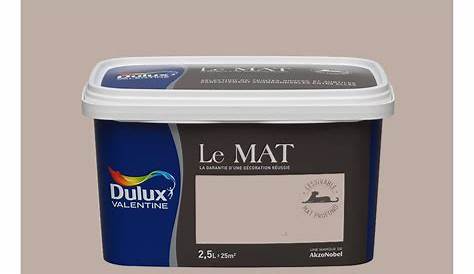 Peinture DULUX VALENTINE Le Mat Taupe Poudré 2,5L de la