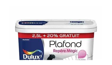 Peinture DULUX VALENTINE Plafond Repère Magic Mat Blanc 2