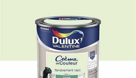 Dulux Valentine Vert Deau Satin Ecran+ Bois DULUX VALENTINE Basque RAL 6005 2L