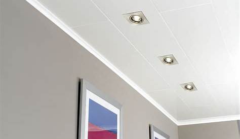 Paneles de techo decorativos en PVC techos sintéticos