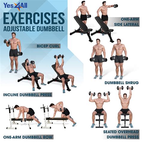 Dumbbell Barbell Exercises