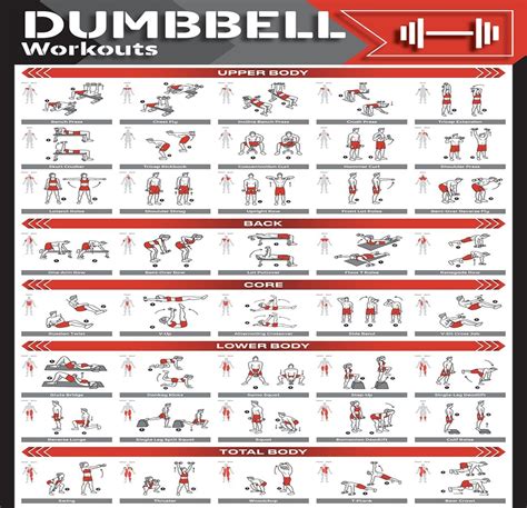 Dumbbell Exercises Chart Free