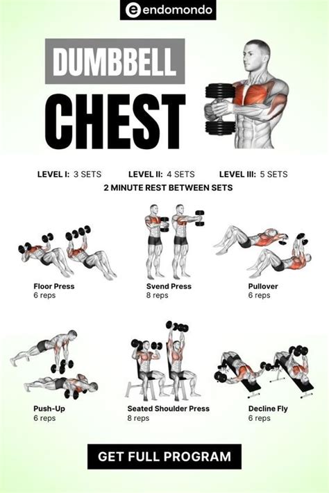 Dumbbell Exercises For Chest Pdf