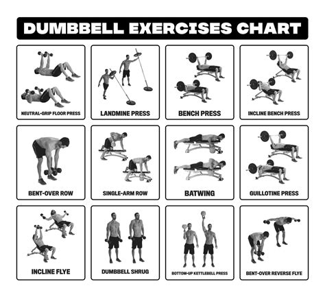 Dumbbell Exercises How Often