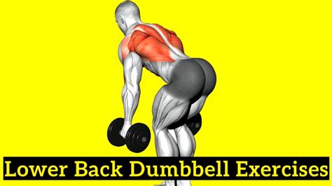 Dumbbell Exercises Lower Back