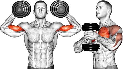 Dumbbell Exercises On Youtube