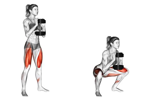 Dumbbell Exercises Squats