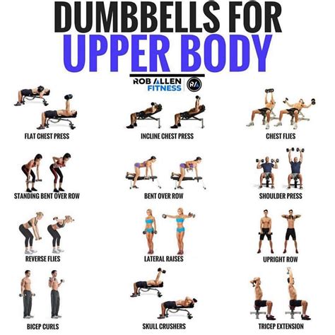 Dumbbell Exercises Upper Body