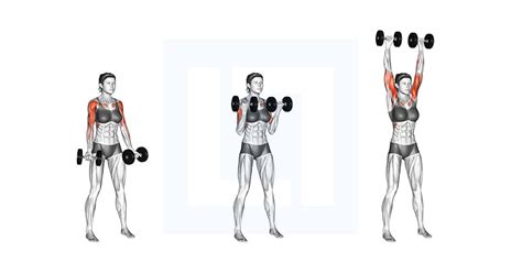 Dumbbell Hammer Curl To Overhead Press