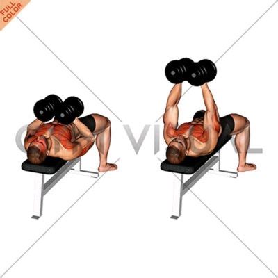 Dumbbell Jammer Press
