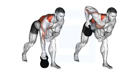 Dumbbell Rotational Exercises