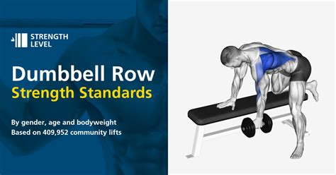Dumbbell Row Strength Standards