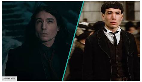 Dumbledore Family Credence ’s ‘Crimes Of Grindelwald’ Identity Reveal Is