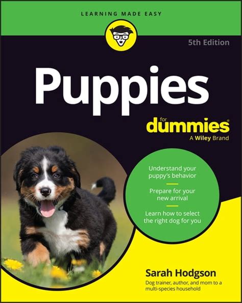 Dummies For Puppies