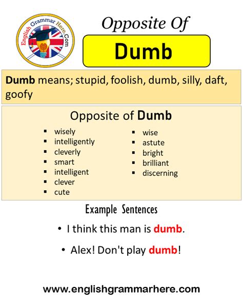Dummy Opposite Meaning