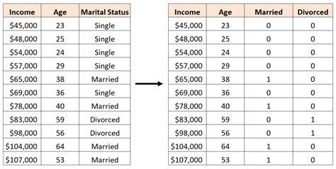 Dummy Variable Data In R