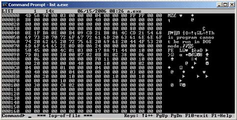 Dump Binary File To Ascii