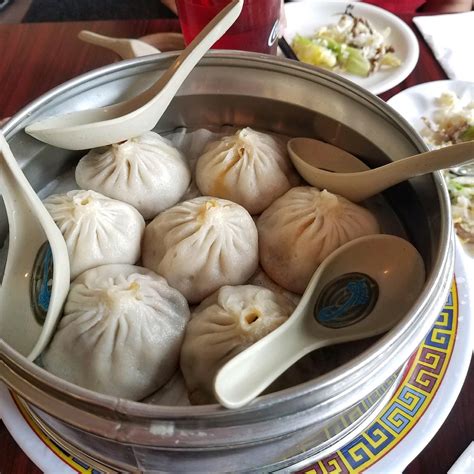 dumpling house newton