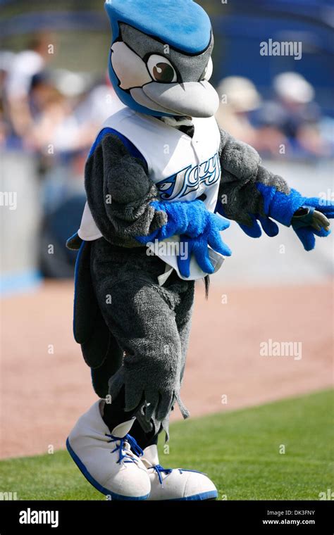 dunedin blue jays mascot