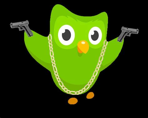 duolingo bird with gun