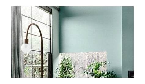 Durable And Dramatic Décor 2024 Paint Color Trends Shadow Tropical