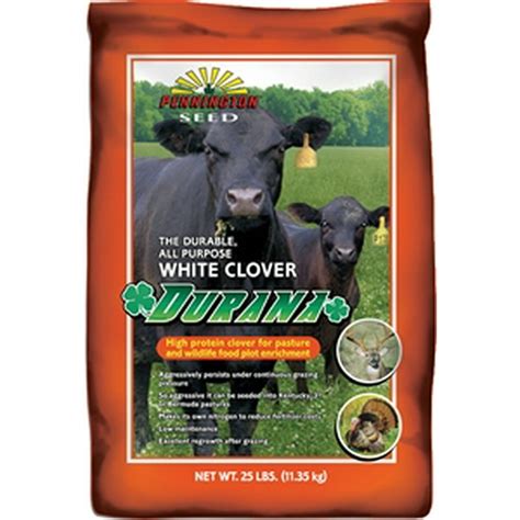 durana clover seed for sale
