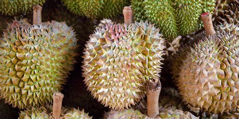 Durian Electric