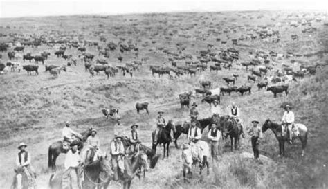 during what era was cattle ranching