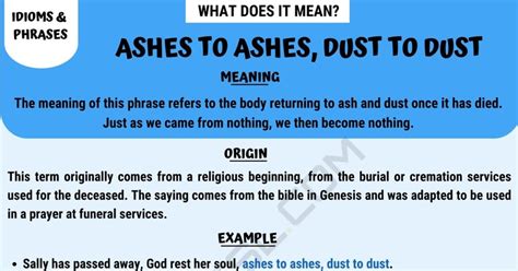 Dust Off Meaning With Examples