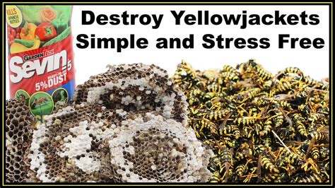 Dusting Powder To Kill Yellow Jackets