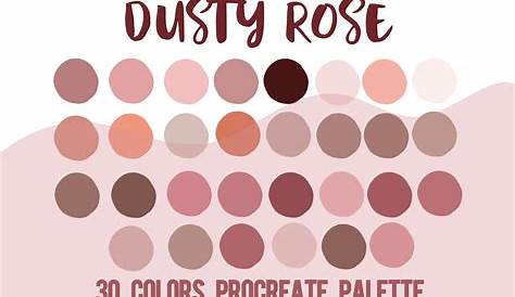 Dusty Rose 2 Color Palette