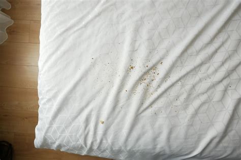 dusty bed