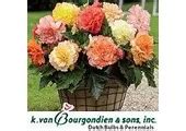 Dutch Flower Bulbs Coupon Code