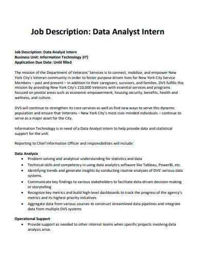 duties of a data analyst intern
