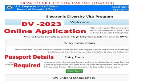 dv application online