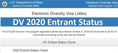 dv program 2020 results