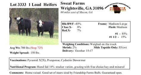 dvauction livestock auction prices