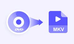 Dvd Audio Extractor Mkv