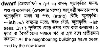 dwarf meaning in bengali