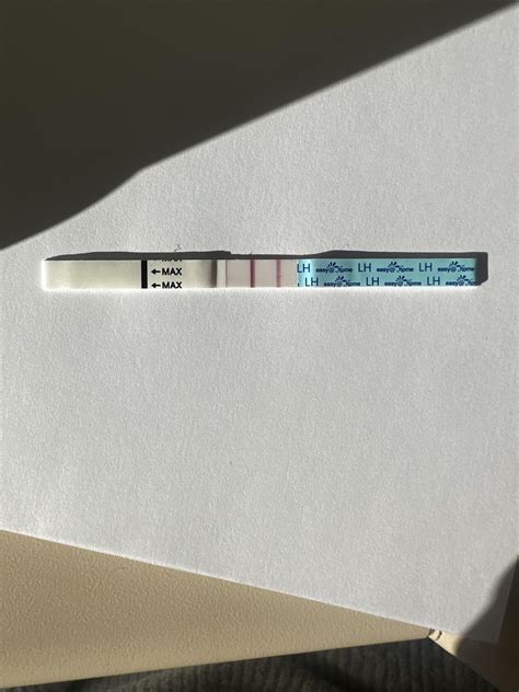 dye stealer ovulation test
