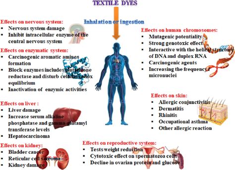 Dyes Harmful Effects
