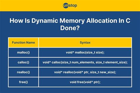 dynamic memory allocation in c programming examples