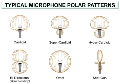 Dynamic Microphone Vs Omnidirectional